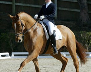 Stefanie Kerner on the PSI horse Weitsicht (Welt Hit I x Andrew)