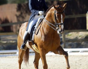 Portuguese junior rider Mafalda Galiza Mendes on D'Artagnan