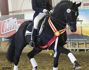 Carolyn Adams and Winterprinz :: Photo © Sheri Scott