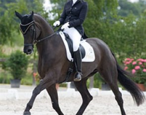 Jessica Michel and Noble Dream at the 2008 CDI Vierzon :: Photo © Terri Miller