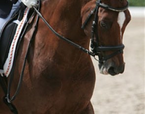 Keulse Hoeve's Zico