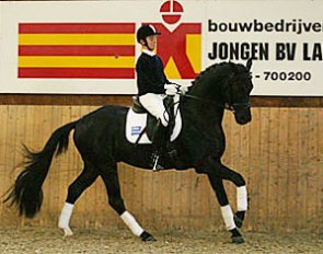 Sönke Rothenberger aboard Florinero at Stable de Ijzeren Man in Weert