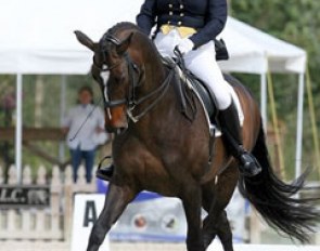 Tami Hoag on Bacchus de Light :: Photo © Sue Stickle