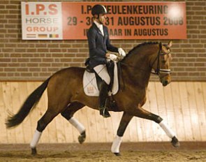 Hans Peter Minderhoud on Zizi Top