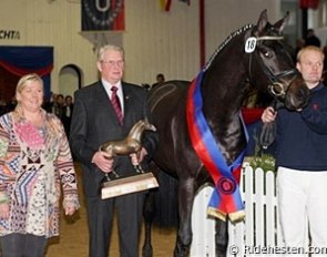 Furstenball became champion of the 2008 Oldenburg Stallion Licensing. Proud owner Lone Boegh Henriksen and breeder Georg Sieverding standing next to him :: Photo © Ridehesten.com