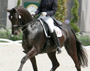 Sophie Baetens-van Lent and Dark Diamant at the 2009 CDIO Aachen :: Photo © Astrid Appels