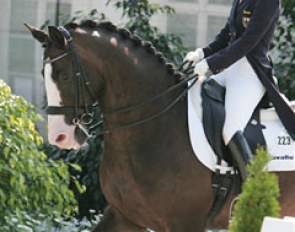Nadine Capellmann on Raffaldo :: Photo © Astrid Appels