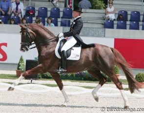Talk about a fantastic extended trot! Heike Kemmer and Royal Rubin (by Rubinstein) show how it is done!
