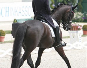 A green Grand Prix pair with potential. Verliefden's Rubel tends to push himself high but when she has him through the back, she's able to score! The zig zag and final piaffe-passage were a good display of what these two can do!