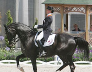Anky van Grunsven on Salinero
