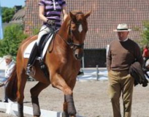 Nadine Capellmann and Elvis getting coached by Klaus Balkenhol