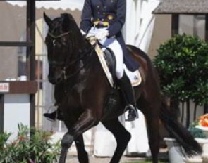 Pretender, the 2007 vice-Bundeschampion, ridden by his owner Stephanie Jansen