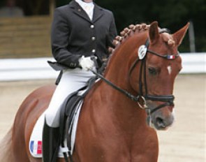 A very promising pair: Joy Albeck aboard Sonke Rothenberger's schoolmaster Wimbledon.
