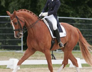 Theresa Bausch was riding her pony (Dornik Double) and Junior Riders' horse (Don Freddy - pictured) in Bonn. A busy weekend for the 16-year old Bausch.