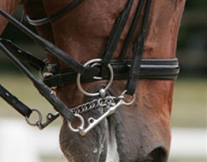 Tongue problems also arise at youth riders' level