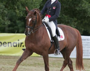 Danish young rider Anne Kathrine Elkjær-Holm on Bernstein (by Traumdeuter)