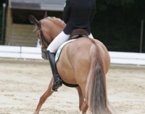 Nathalie Overmann and Danny H in a half pass