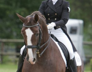 Lynn Schneider on the huge Westfalian gelding Dali