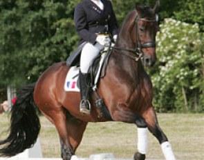 French Alix van den Berghe riding Marc Feller's Othello