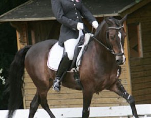 Nadia Winter on Carat Horse Team's Peppino