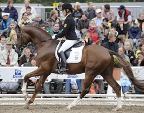 Sir Nymphenburg at the 2009 Bundeschampionate