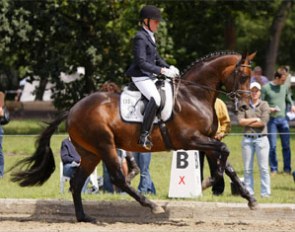 PSI rider Stefanie Kerner on the Trakehner Licensing Champion Grand Passion (by Oliver Twist x Polarion)