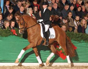 Lehmann at the Gestut Gronwohldhof Stallion Show