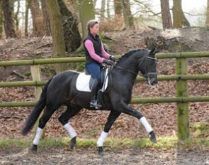 Kira Wulferding aboard Sissy Max-Theurer's Rosandro (by Rosario x Sandro Hit)