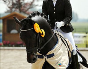 Carola Koppelmann aboard Rubinio B (by Royal Rubin)