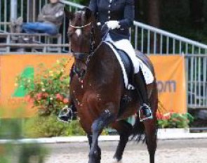 Dorothee Schneider and Special Gold at the 2009 Bundeschampionate :: Photo © Barbara Schnell