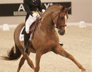 Minna Telde and Don Charly in a striking half pass