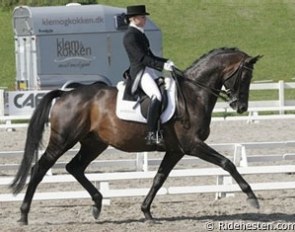 Thit Vestergaard on Blue Hors Hertug :: Photo © Ridehesten.com