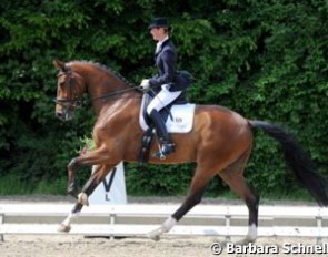 Marion Engelen on Show Boy (by Show Star x Dimension)