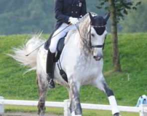 Charlie Hutton on Merlin Nemorensis