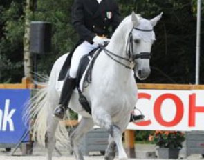 Ricardo Sanavio on Usson van Essene (by Gotthardsen x Goldspring de Lauzelle)