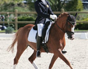 U.S. born Belgian pony rider Alexa Faircild on Neervelds Blamoer
