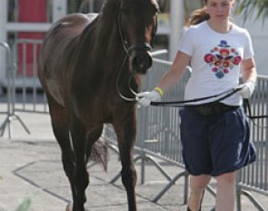Polish Ania Jedrzejczyck presenting Epiascer at the vet inspection