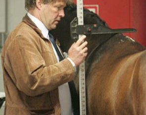 Ponies are getting measured at the 2009 European Pony Championships :: Photos © Astrid Appels