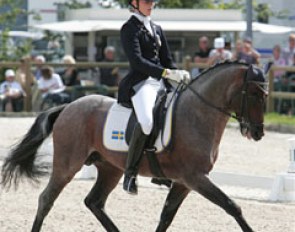 Probably one of the most talented ponies on the block: Swedish bred Verdi RP. They finished 12th with 66.842%. If his tongue wasn't constantly sticking out on the right, this pony would score much higher!