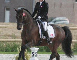 Sabrina Barnekow on Vermont. Super in trot (lots of cadence, lightfootedness), but clear resistance in the rein back and a tense canter tour forced the scores to drop. A very promising pair nonetheless!