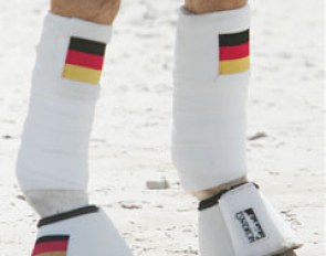 I love those country polo wraps and bell boots