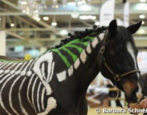 So many seminars are held at Equitana. This one is about equine physiotherapy and chiropractics