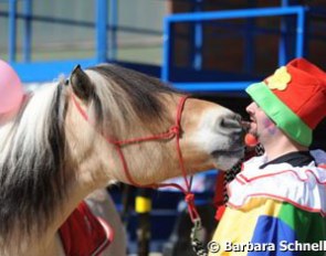 Comic equine relief
