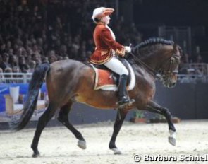 Petra Stoltefuss on Completo