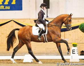 Yvonne Osterholm and Bellagio at the 2009 Swedish Young Horse Championships :: Photo © David Svensson