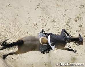 Hoof prints in the sand :: Photo © Dirk Caremans/Christophe Bricot