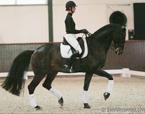 Marion Engelen on Diego (by Don Larino)