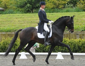Carl Hester and the AES licensed stallion T.Movistar (by Jazz x Chronos x Doruto)
