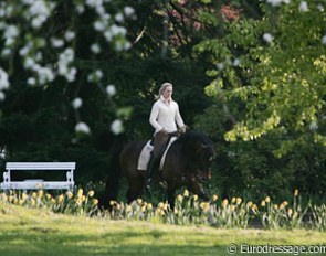 Riding in the morning sun with the flowers and the blossoms opening.