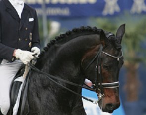 Derk Wieger de Boer on Cosmopolitan, a 17-year old Holsteiner stallion by Corleone x Lago Maggiore